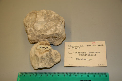Fine Laminated Limestone.