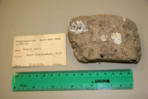 Crinoidal Limestone.