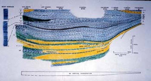Cross-section of the passive margin.