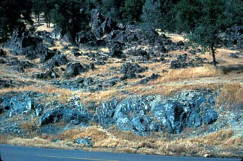 Metaigneous rocks.