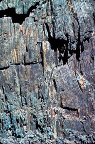 Deep-water silicious chert.