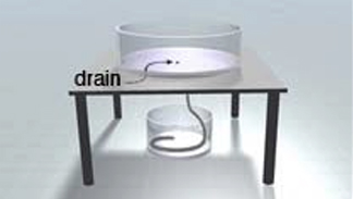 A cylinder with a hose (which hangs down into a pail of water) sitting on a table.