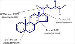 Structure of a sterane molecule.