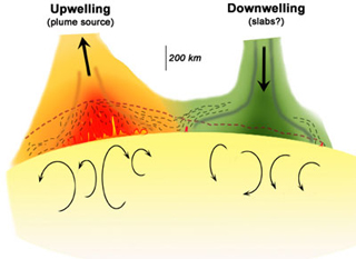 Diagram of an upwelling and a downwelling on the Earth's crust.