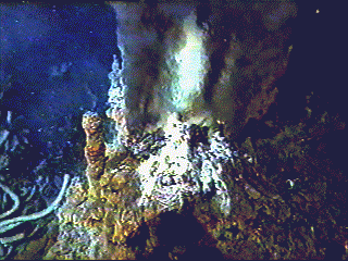 Animation of heated water spewing from a hydrothermal vent.