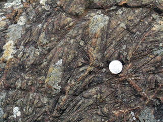 Coin against rocks.
