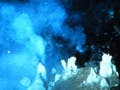 Minerals venting from the seafloor.