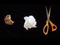 A rock, a crumpled piece of paper, and a pair of orange-handled scissors are set side-by-side on a black background.