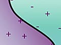 A curved line divides a rectangle into purple and green sections, with plus and minus signs throughout.