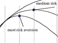 A graph of utility function.  The graph indicates risk aversion points.