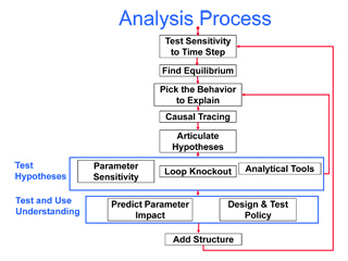 Flowchart describing the analysis process, test hypotheses, and test and use understanding.