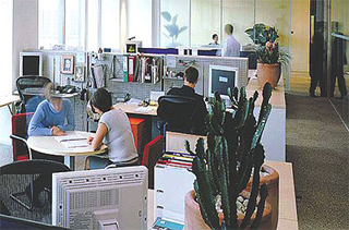 Employees working in their offices.
