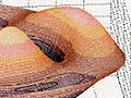 Figure showing drum membrane solution.