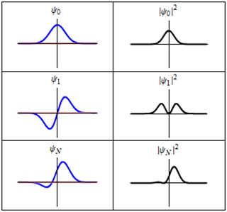 Six curve graphs show wave function and probability distribution.