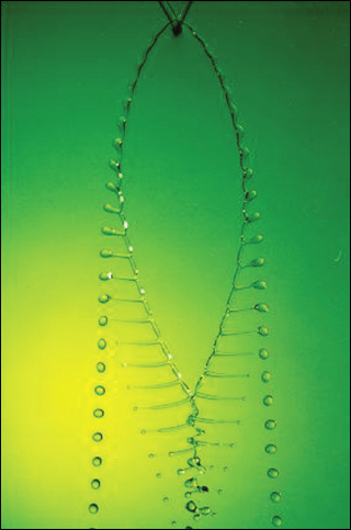 Photo of water drops with fishbone shape.