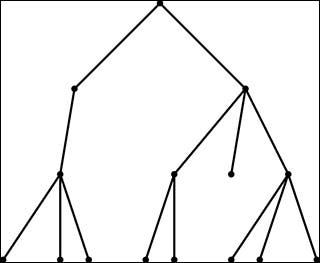 A branching Galton-Watson tree.