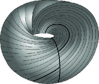 A black and white image of a rotating spiral.