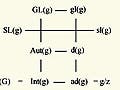 Representation of the adjoint group.