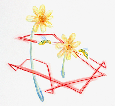Two bees winding their ways among 2 flowers surrounded by red polygons.