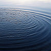 Photographs of ripples in a pond emanating from multiple points.