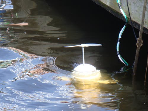 A sphere-bodied robot with a propeller hovers near the river surface.