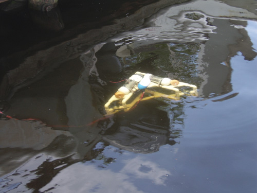 With one propeller at the end of each arm, the robot drives point-first through the water.