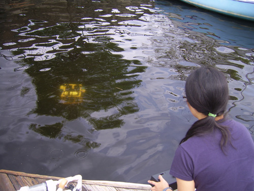 A student watches intently while steering their robot down to the river bottom.