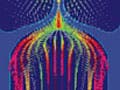 Colored model of fluid flow through the aortic valve.
