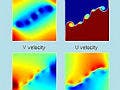 Colorful contour graphs visually demonstrating pressure, velocity, density, and related quantities for lock exchange, warm rising bubble, lid-driven cavity flow, and double-gyre phenomena.