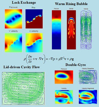 Colorful contour graphs visually demonstrating pressure, velocity, density, and related quantities for lock exchange, warm rising bubble, lid-driven cavity flow, and double-gyre phenomena.