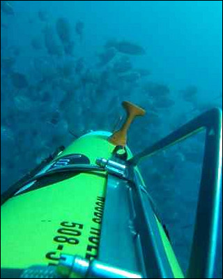 An underwater photo taken by a REMUS 100 AUV known as Snoopy.