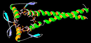 Schematic of protein folding.