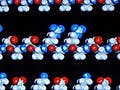 Illustration of four different self-assembling peptides.