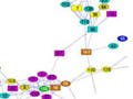 Map of protein-protein interaction pathways in yeast and fruit fly - figure 4 from Shlomi et al., 2006.