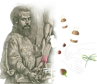 Illustration of a man dissecting a human arm.  Clip art drug bottles and herbs float in the air.