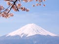 A snow capped mountain by a lake with hanging cherry blossom branches in the view