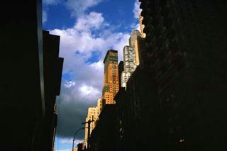 A photograph looking up from the streets of New York City.