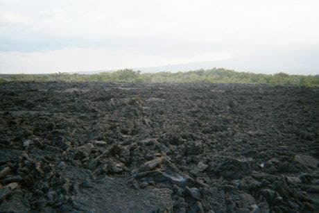Brown-black irregular rocks cover the ground; on the horizon, green vegetation is visible.