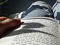 Open book on the lap of a person wearing ripped jeans. Sunlight streaks across pages of the book.