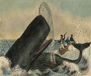 A drawing of men in a small boat trying to harpoon a giant whale.
