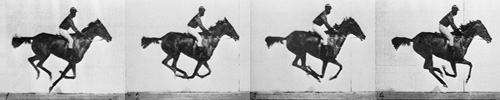 Four film stills of a horse running, showing that its legs are all off the ground in mid-stride.