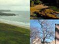 Photographs of Northern Ireland, the Caribbean, and a monument to American Nobel Prize winners.