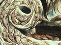 Whirlwind of lovers by William Blake.