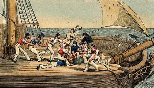 A Scramble for Salt Junk. 