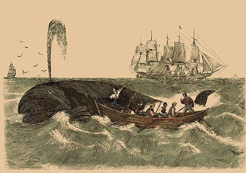 Engraving After Garneray. 