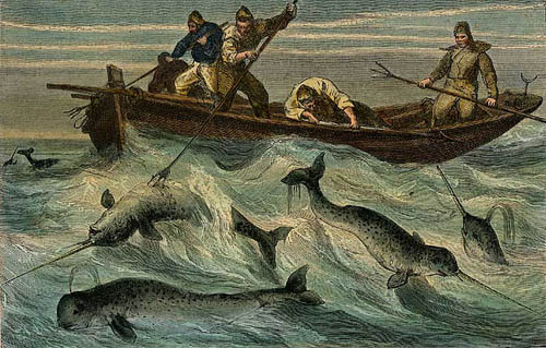 Icelanders Fishing for Narwhal.