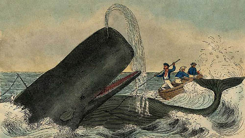 Whale Being Harpooned.Colored engraving (n.d.). 