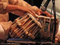 Closeup photo of performance on the tabla, a pair of small single-headed hand drums.