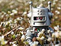 A small toy silver robot standing in a field of daisies.