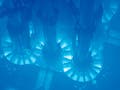 A blue glow suffuses a water-filled chamber containing pipes and other apparatus.